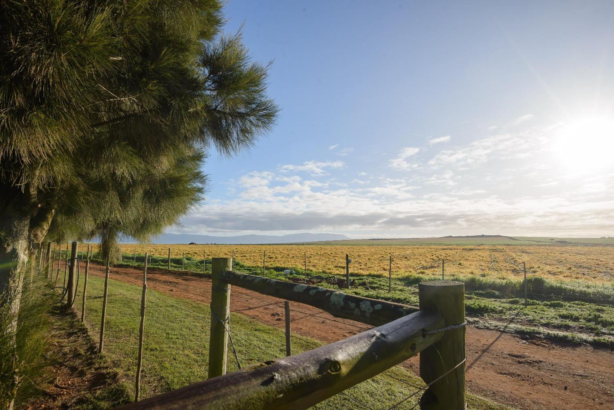 Oorvloed Guesthouse Swellendam Kültér fotó